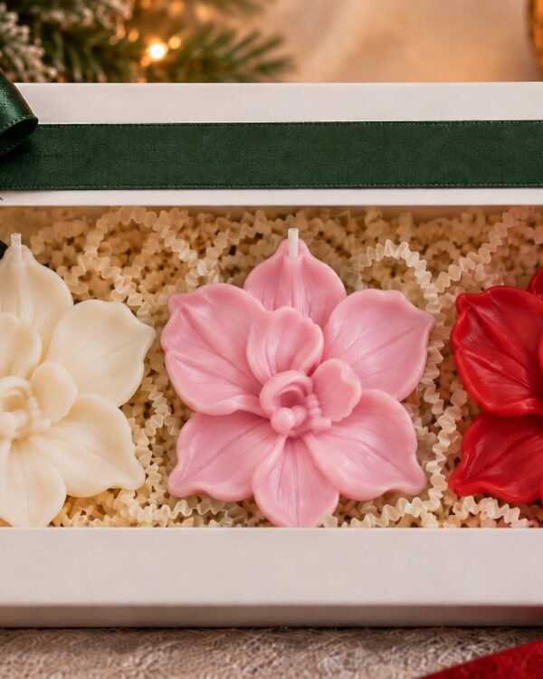 Orchid Trio
